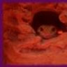 geckos4me