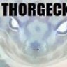 Thorgecko707