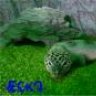 EckoTheGecko2012