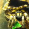Jarmst4