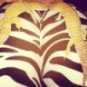 XoVictoryXo