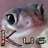 gecko-kus