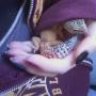 GlaedrLeoGecko