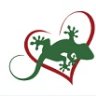 TheGeckoSanctuary