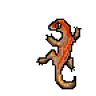 GenuineGeckos