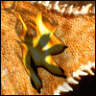 ciliatus