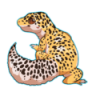 Dreamsthefoxlovesgeckos