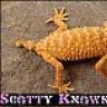 I_Buy_Rare_Reptiles
