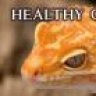 spykerherps