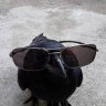 corviknight