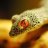 python1324