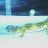 The Geckoman