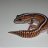 Lecko my Gecko