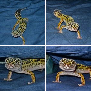 Stitch Photo Shoot