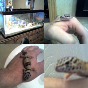 My Lil Buddy's