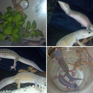 babies together!
