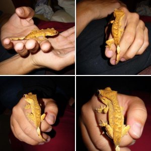 New babies 5-3-09