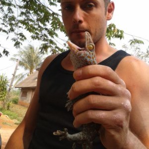 my geckoes