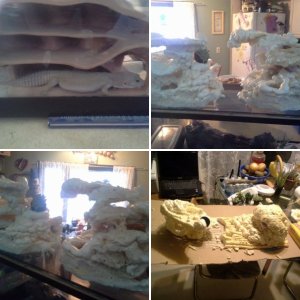 Photo's of Randall an his home's