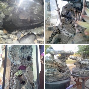 DIY Natural rock tank theme.....