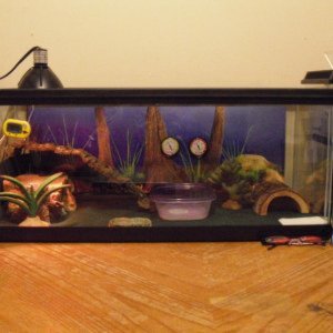 Vastra's new tank.