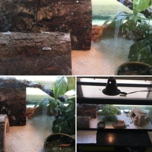 Apollo Tank