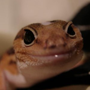 Cute!