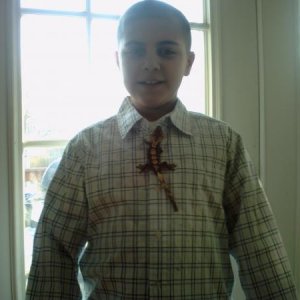 my gecko tie