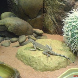 Leonard Basking