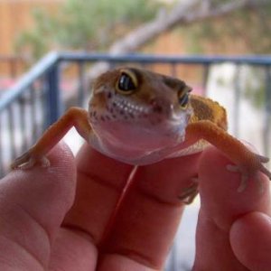 *SMILE*