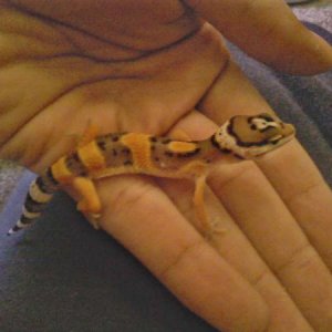 me holding Orion