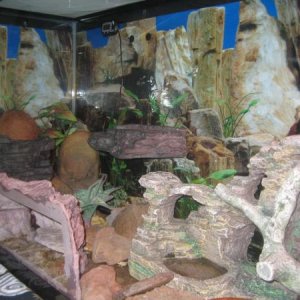 55G Leos Left side