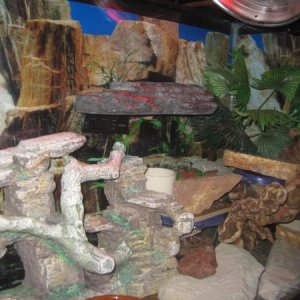 55G Leos Right side