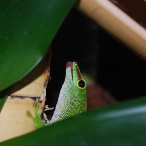 DSC 0107