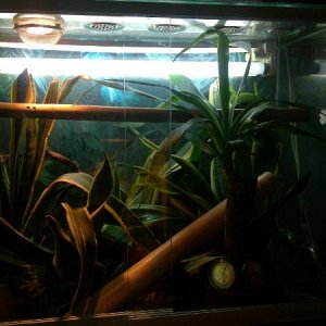 terrarium2