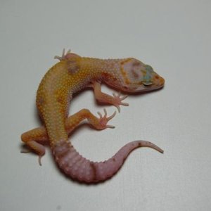 most recent pic. Preety Girl!