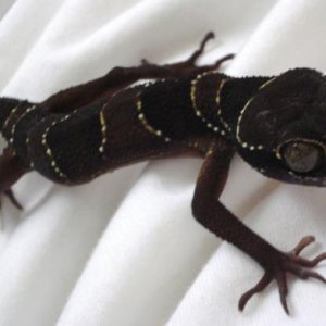 he's looks kinda creepy sometimes