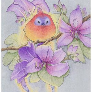 Blue faced phoenix