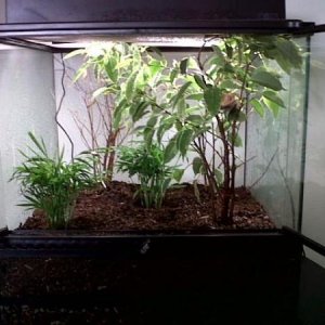 New Set Up 1