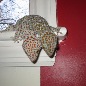 IMG 0502