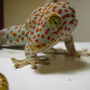 IMG 0510