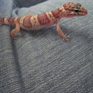 Just hanging out