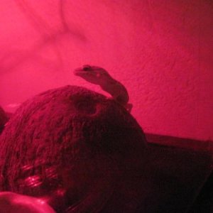 IMG 0505