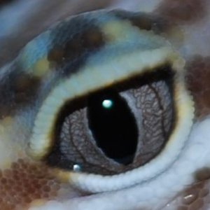 DSC 19703
