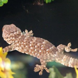 DSC00679