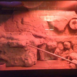 leocage when it was just a 10g.