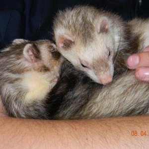 Left to Right Chester and Kairi (Ky-ree)