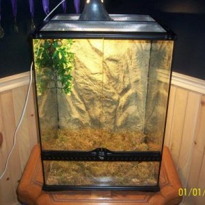 Exo Terra 18 x 18 x 24 Terrarium