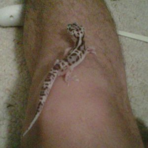 Gex Jr 12/30/10