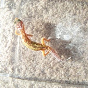 Hayden in the morning sun